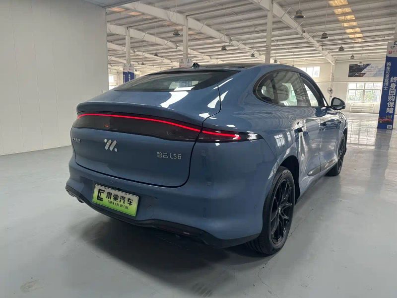zhiji ls