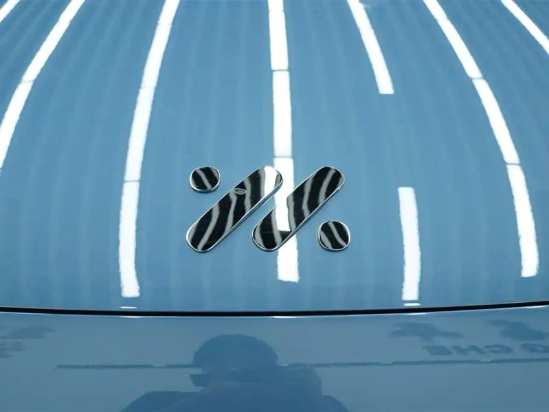 zhiji ls