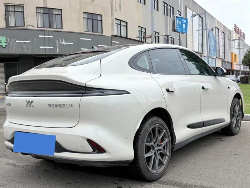zhiji ls