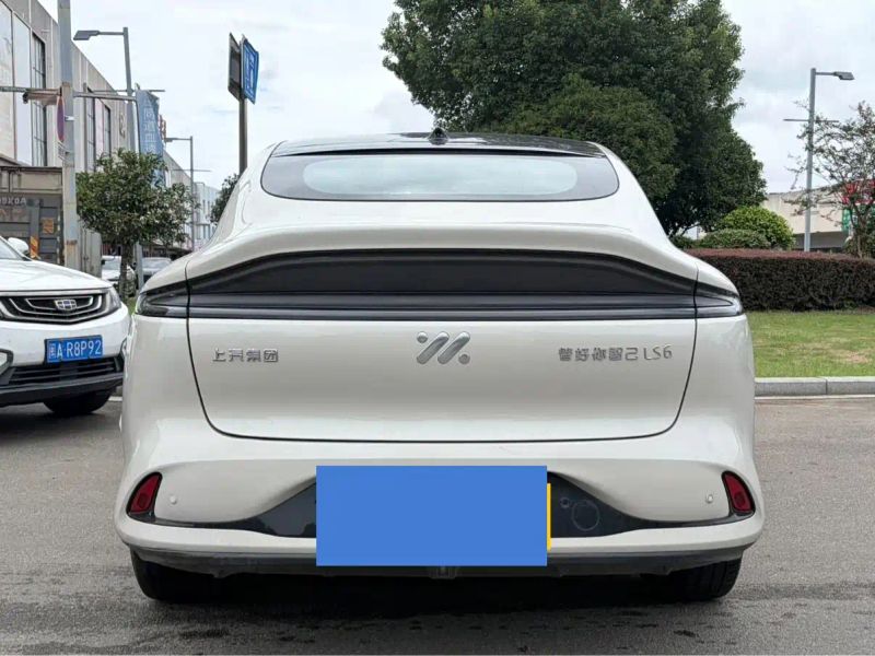 zhiji ls