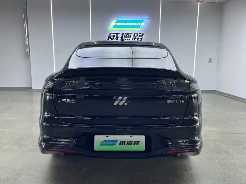 zhiji ls