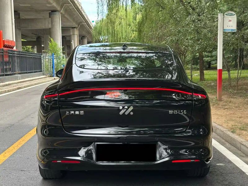 zhiji ls