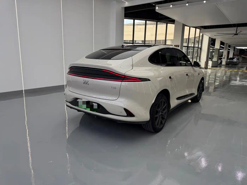 zhiji ls