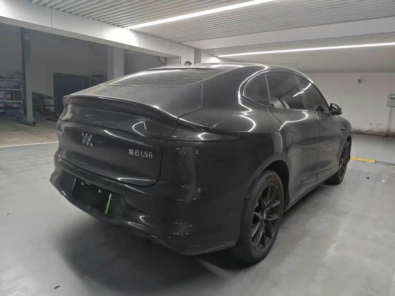 zhiji ls