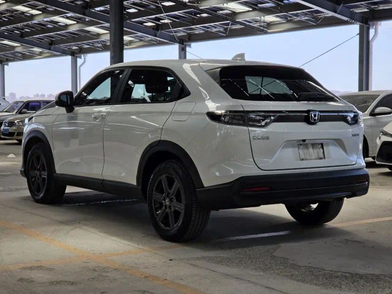 Binzhi Xr-v