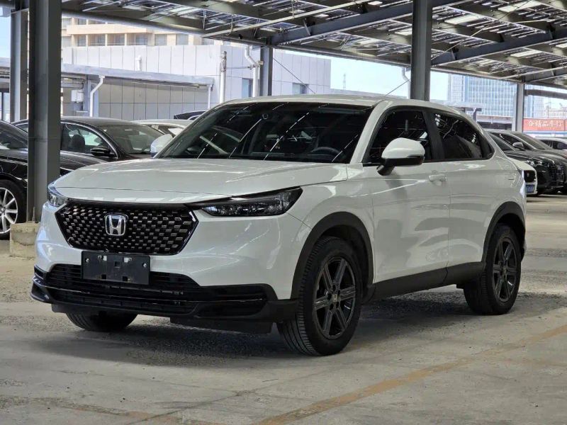 Binzhi Xr-v