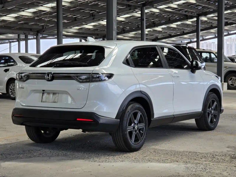 Binzhi Xr-v