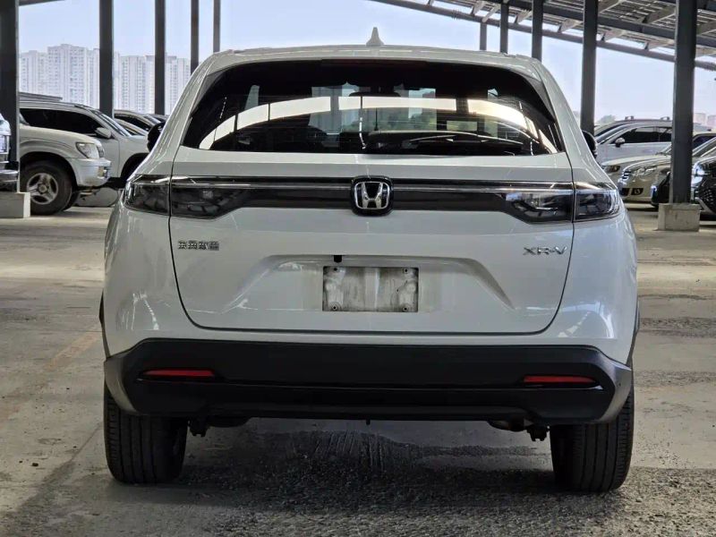 Binzhi Xr-v