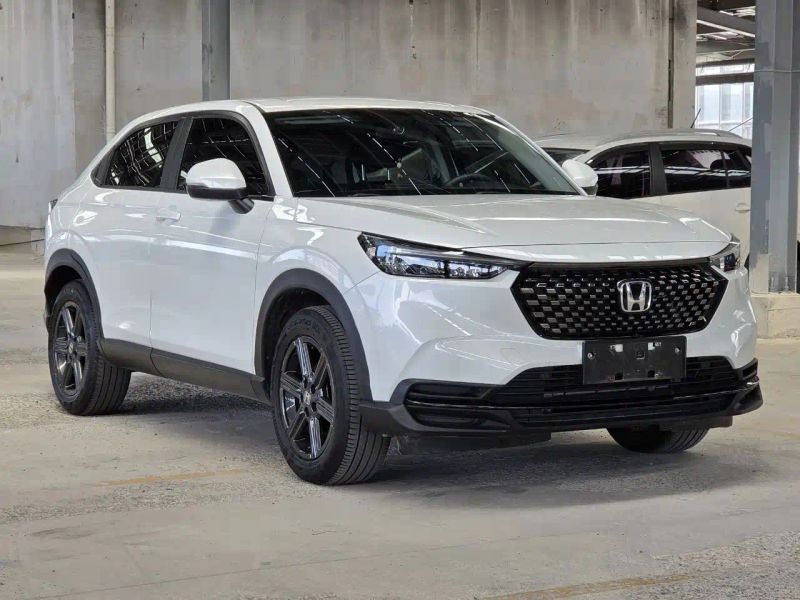 Binzhi Xr-v