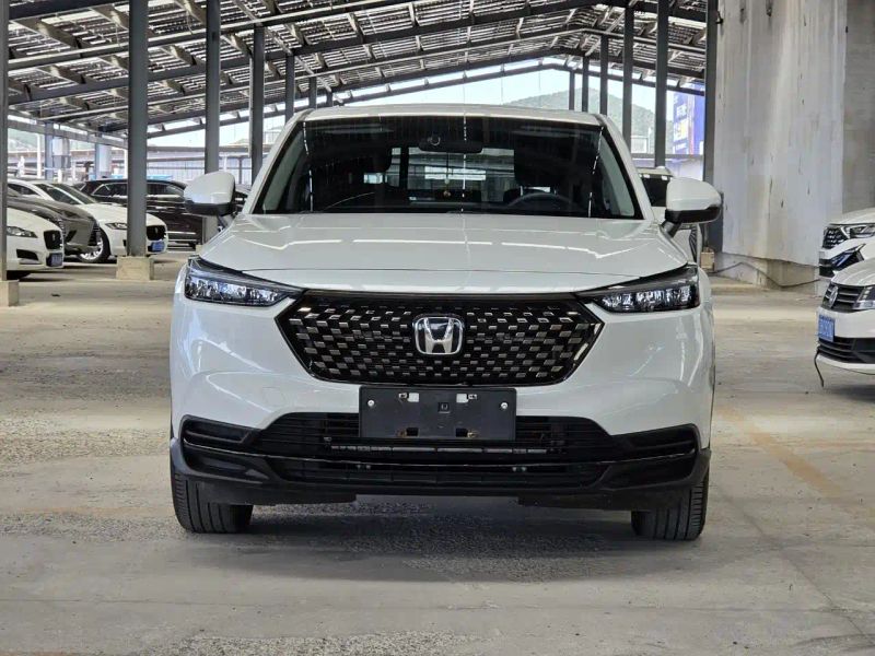 Binzhi Xr-v