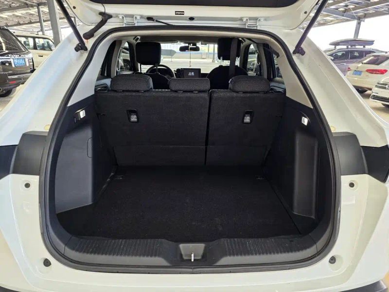 Binzhi Xr-v