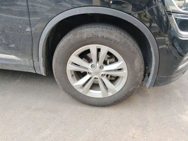 Duster Koleos