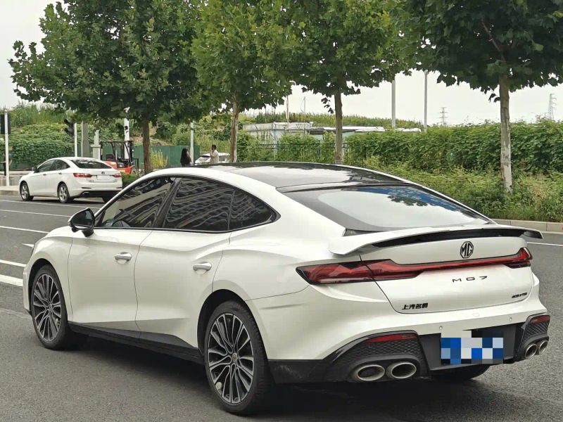 Mg 7