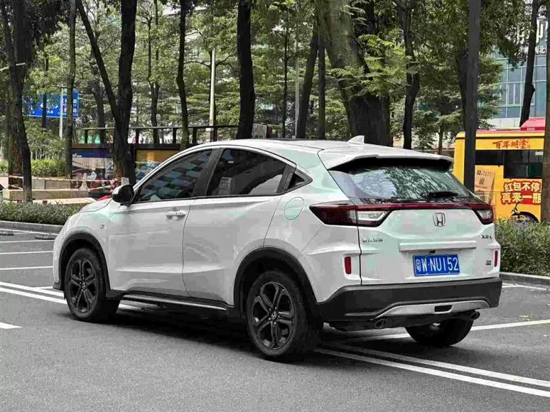 Binzhi Xr-v