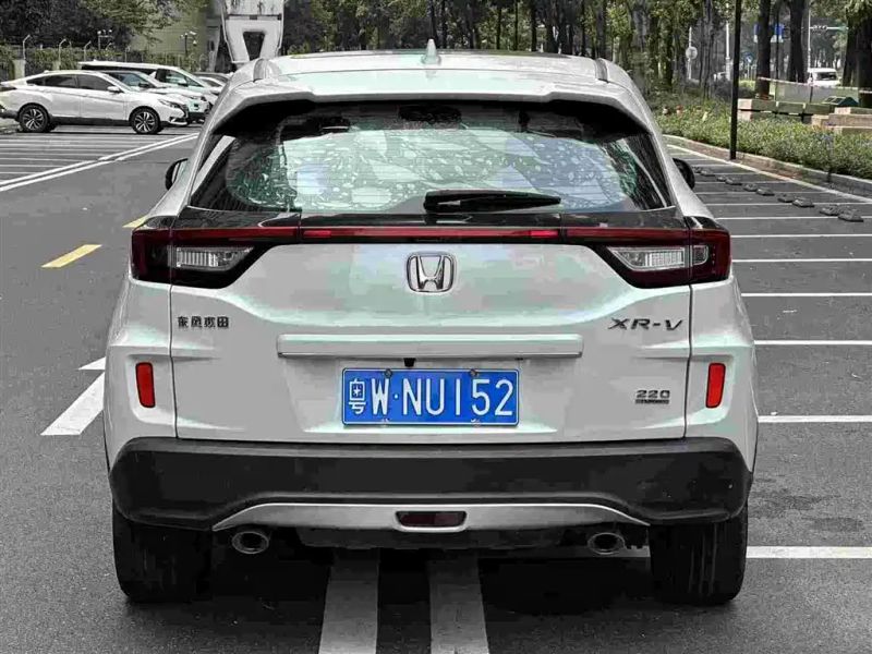 Binzhi Xr-v