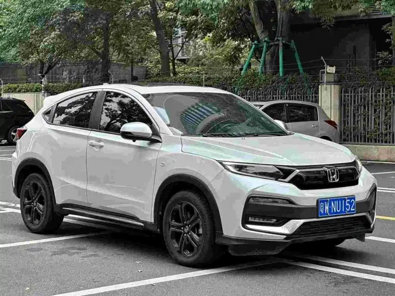 Binzhi Xr-v
