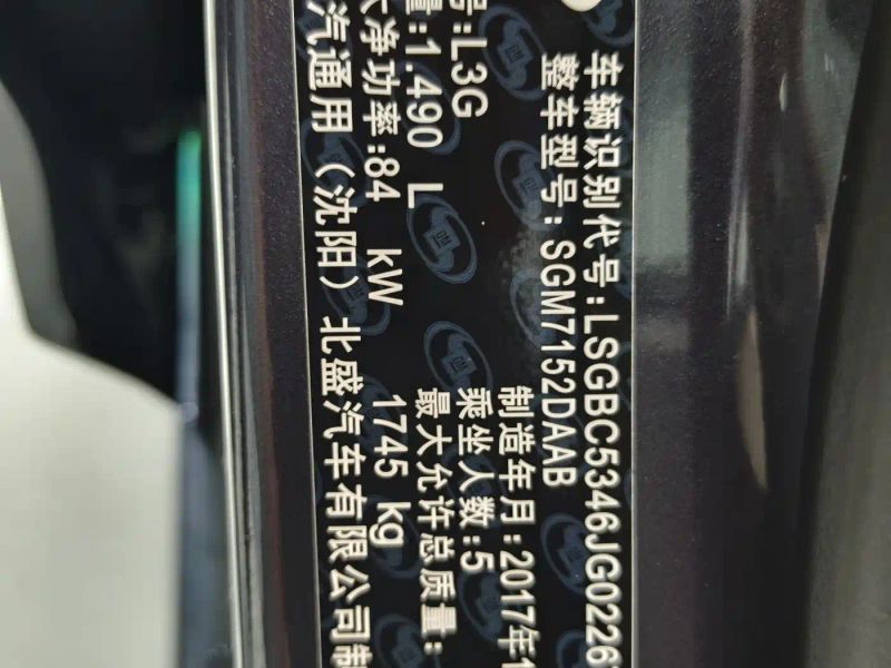 Buick Weilang