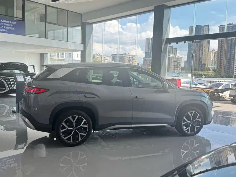 Byd L