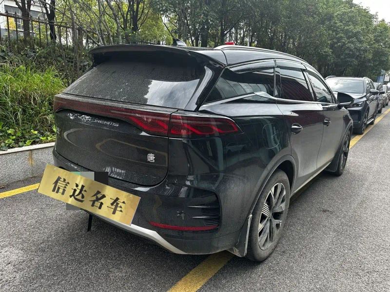 Byd New_energy