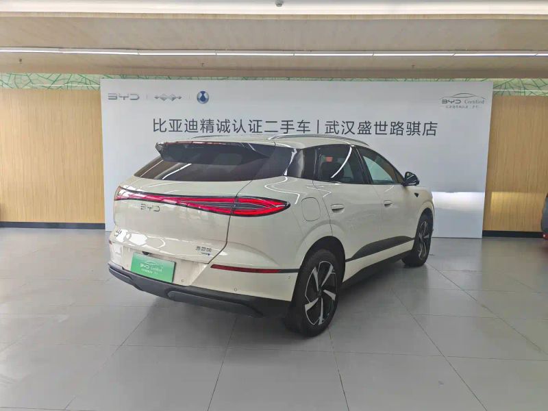 Byd 06