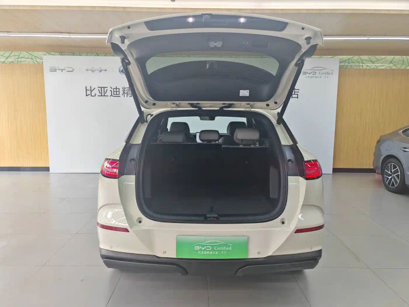 Byd 06