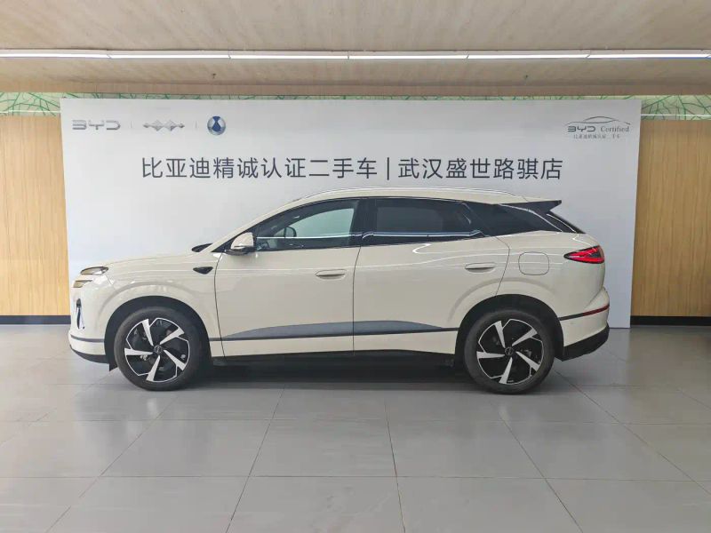 Byd 06