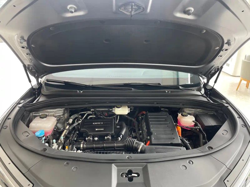 Byd L