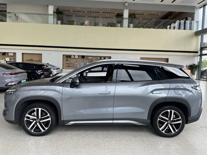 Byd L