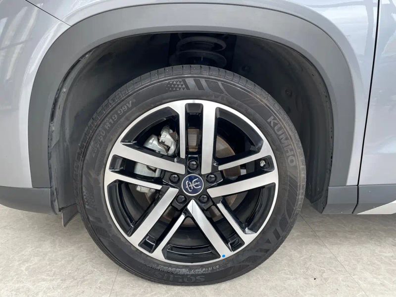 Byd L