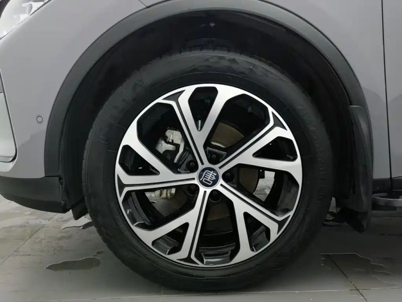Byd New_energy