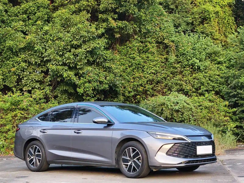 Byd Han