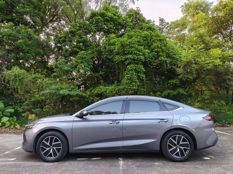 Byd Han