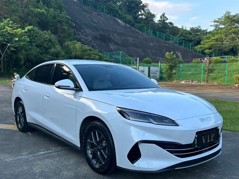 Byd 06