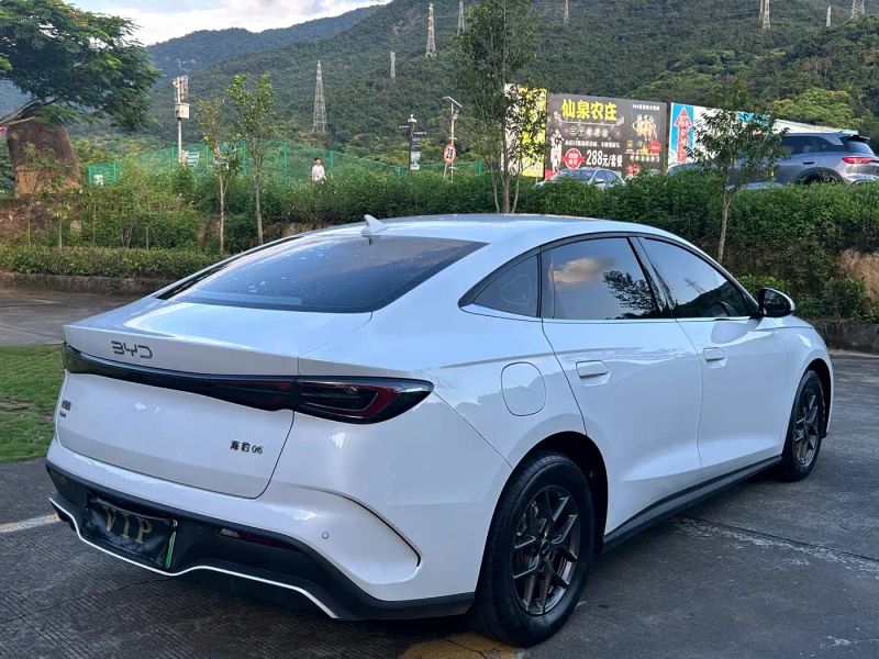 Byd 06