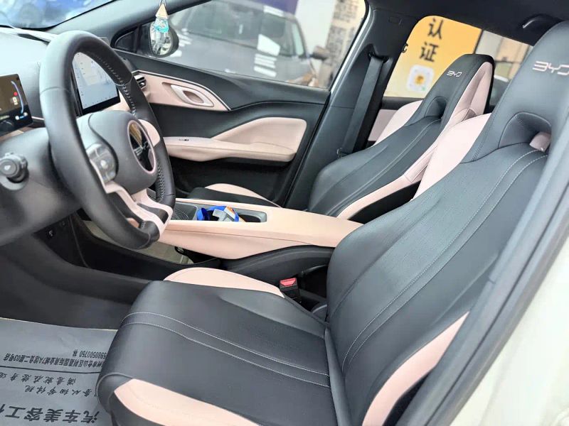 Byd Seagull