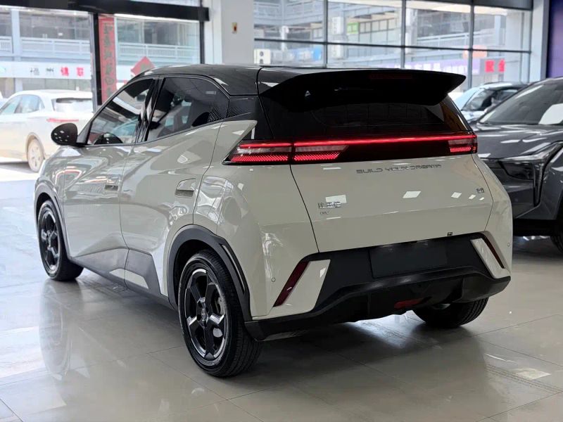 Byd Seagull