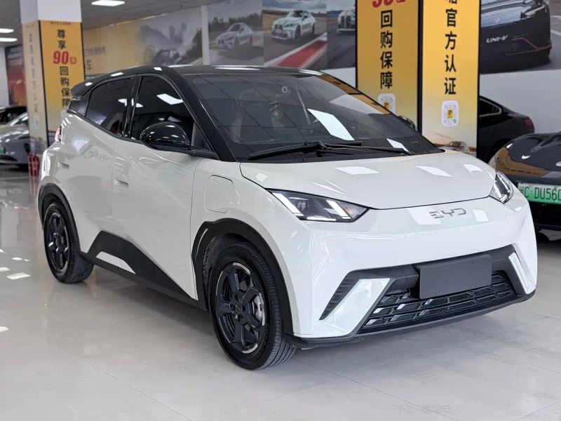 Byd Seagull