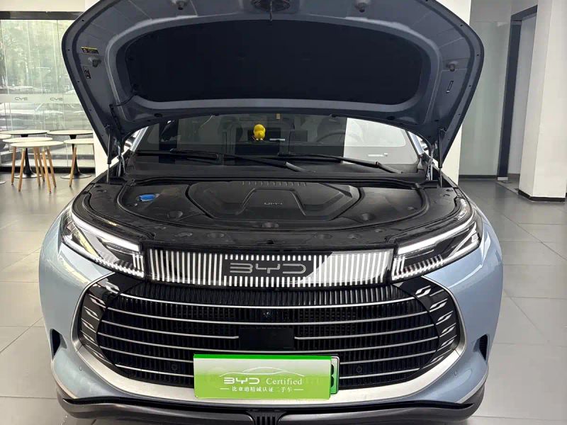 Byd 07