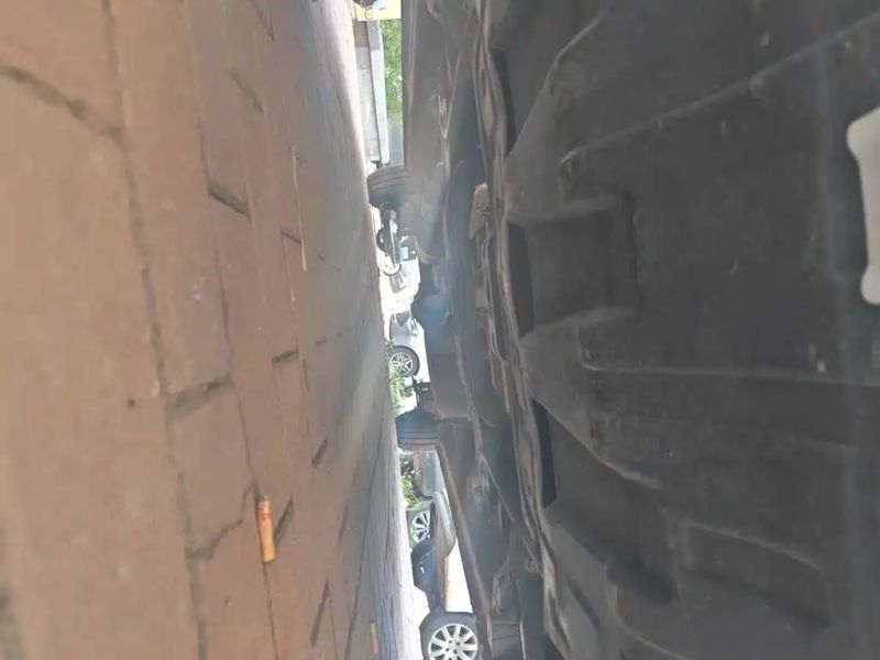 Auto Wangpai