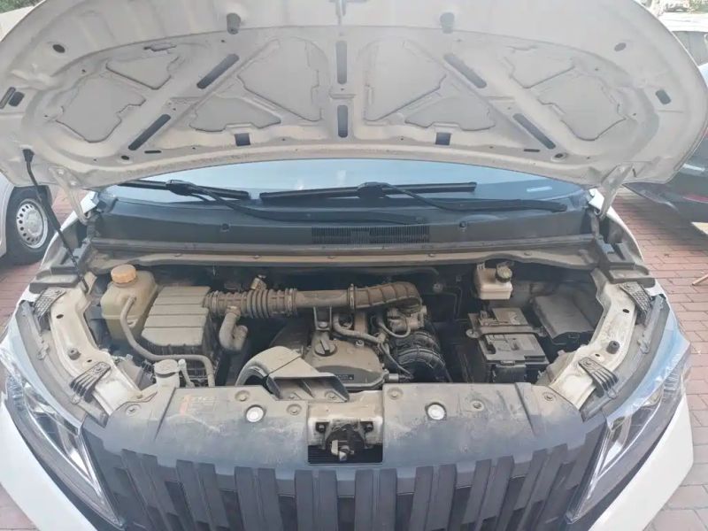 Auto Wangpai