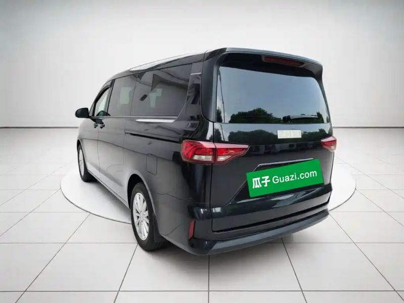 Auto Wangpai