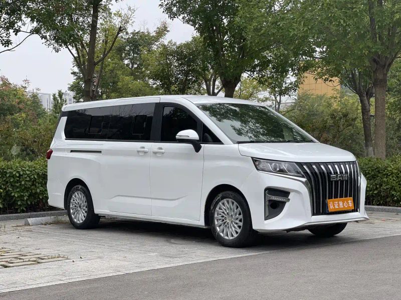 Auto Wangpai