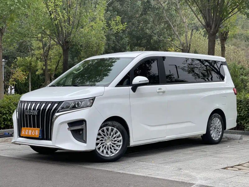 Auto Wangpai
