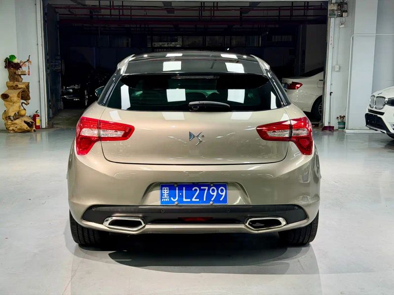 Ds 5