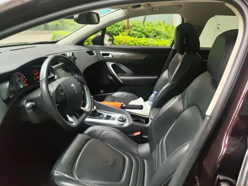 Ds 6