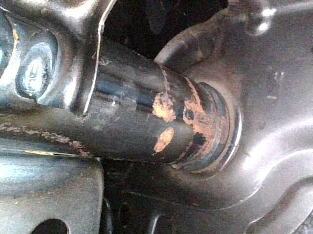 Fenglanda Alphard