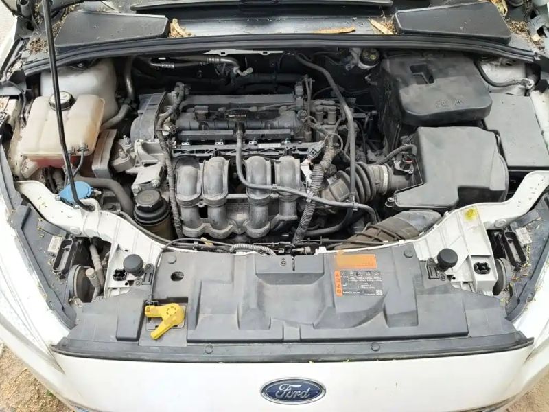 Explorer Focus