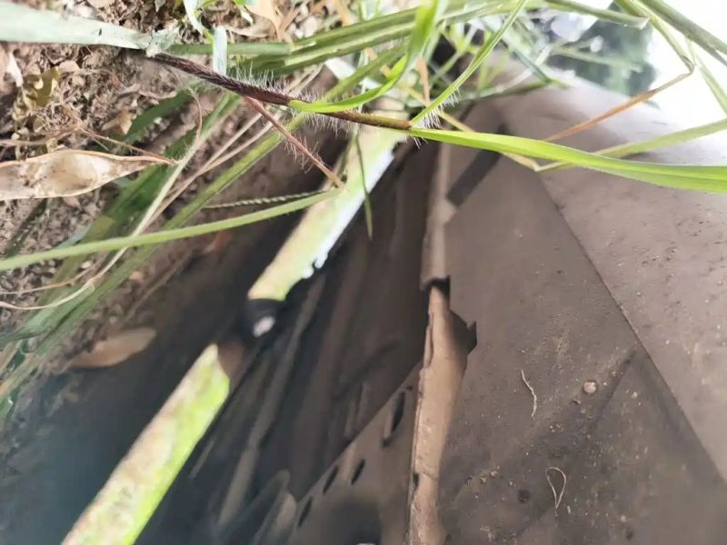Explorer Focus