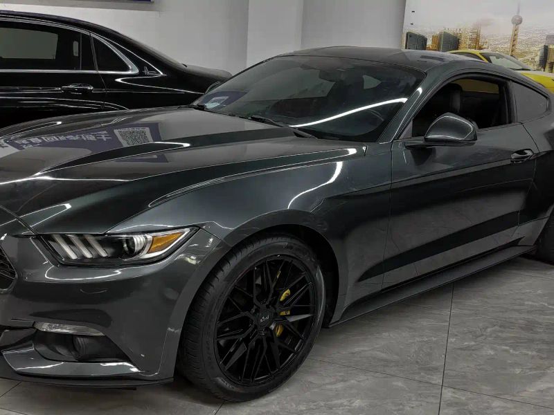 Explorer Mustang