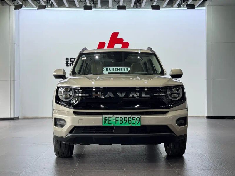 Haval Bigdog